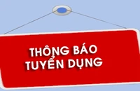 Trường Đại học Luật Thành phố Hồ Chí Minh thông báo tuyển dụng năm 2024