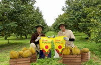 Phân bón NPK Phú Mỹ: Công nghệ sạch - Phân bón sạch