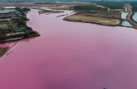 Thay vì nạo vét, rửa bùn tốn kém như trước đây, cơ quan chuyên môn đề xuất có thể giữ và làm giàu từ đầm nước này. Ảnh: MK