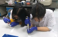 Nữ sinh Vũng Tàu cùng nhóm bạn đạt giải Vàng cuộc thi nghiên cứu tại Mỹ