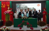 Công ty của Chi Bảo thuê 120 ha môi trường rừng tại Côn Đảo