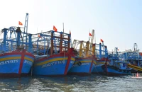 Xử lý triệt để tàu cá không lắp, tắt thiết bị giám sát hành trình