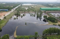 Bà Rịa-Vũng Tàu: Vỡ hồ chứa chất thải, mùi hôi bốc lên trên diện rộng