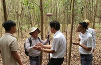 Bà Rịa - Vũng Tàu bàn giao mốc ranh đường cao tốc Biên Hòa - Vũng Tàu