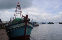 Bà Rịa-Vũng Tàu phạt nặng tàu cá cố tình tháo thiết bị giám sát hành trình 