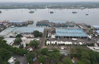 Bà Rịa-Vũng Tàu: Phạt doanh nghiệp thu mua hải sản đánh bắt trái phép