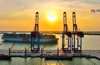 "Siêu tàu" container dài 400m vào cụm cảng Cái Mép - Thị Vải