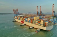 Bà Rịa-Vũng Tàu thoái hết vốn nhà nước tại 7 doanh nghiệp trong giai đoạn 2022-2025