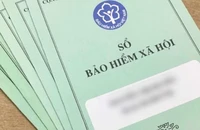Trốn, chậm đóng Bảo hiểm xã hội, 2 công ty ở Bà Rịa-Vũng Tàu bị phạt