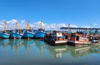 Bà Rịa- Vũng Tàu lập Tổ xác minh, xử lý tàu cá vi phạm về giám sát hành trình