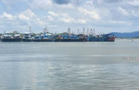 Bà Rịa - Vũng Tàu nêu tiến độ xử lý 4 vụ án vi phạm về mất kết nối giám sát hành trình tàu cá