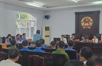 Tòa tạm dừng xét xử với một bị cáo là chủ doanh nghiệp để trưng cầu giám định tâm thần 