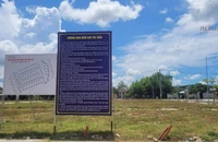 Bà Rịa - Vũng Tàu: Đấu giá thành công 84 lô đất công ở huyện Xuyên Mộc, thu hơn 123 tỉ đồng