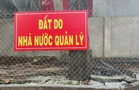 TP.HCM: Đảng ủy phường Vũng Tàu có chỉ đạo ‘nóng’ về quản lý quỹ đất công