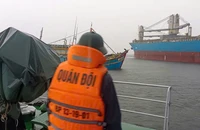 2 tàu cá bị chìm sau va chạm với tàu hàng trên vùng biển Vũng Tàu