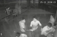 Công an truy xét nhóm người đánh hội đồng dã man nam thanh niên ở Hóc Môn
