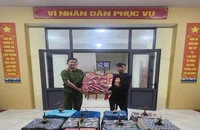 Trộm 11 con chim trị giá 100 triệu đồng vào mùng 3 Tết
