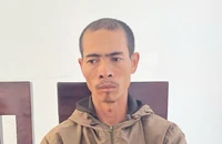 Vụ vườn cây bị phá lần 2 ở Gia Lai: Thủ phạm là người anh rể