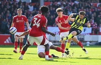 Man City vs Brighton: Khó giành 3 điểm