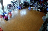 Động đất 5.0 ở Điện Biên