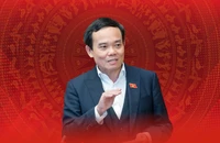 Chân dung tân Bí thư Thành ủy TP.HCM Trần Lưu Quang