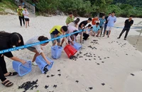Côn Đảo sẽ thành khu du lịch tầm khu vực và quốc tế