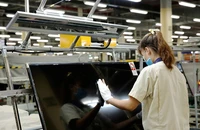 Nhiều nhà đầu tư nước ngoài chọn TP.HCM là điểm đến