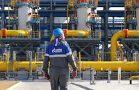 EU công bố kế hoạch khủng nhằm thoát phụ thuộc năng lượng Nga