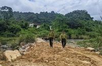 Thừa Thiên-Huế: Kiểm lâm phải leo rào vì đường cao tốc