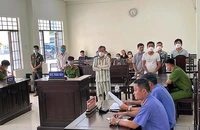 Trưởng ban quản lý rừng chỉ đạo cấp dưới tổ chức khai thác gỗ lậu