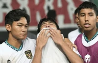 Indonesia rời AFF, Việt Nam, Thái Lan tranh với Úc?