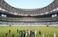 Chủ nhà World Cup mệt mỏi với tin đồn nhảm