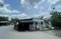 Huyện Bình Chánh đề xuất thu hồi hàng loạt dự án 'treo'