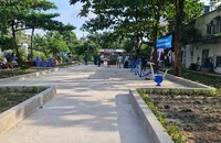 TP.HCM: Giải pháp phát triển mảng xanh bền vững