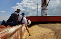 Liên Hợp Quốc: Thỏa thuận ngũ cốc Biển Đen giúp ổn định giá lương thực