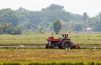 Kiến nghị HĐND TP quyết định chuyển mục đích sử dụng đất trồng lúa từ 10 ha trở lên