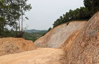 Chưa chuyển đổi đất rừng đã san ủi làm đường