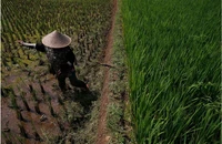 Sau nhiều tháng cảnh báo, El Niño đã tới