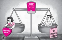 Áp dụng lẽ công bằng trong vụ chồng kiện vợ vì phải 'nuôi con tu hú'