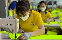 Nhập khẩu giảm sốc và nỗi lo tăng trưởng kinh tế