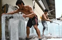 Thời tiết cực đoan: Nghèo thì phải chịu khổ?