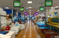 Hàn Quốc nỗ lực bảo vệ ngành đánh bắt giữa tin Nhật xả thải