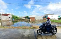 Chánh án TAND Tối cao kháng nghị giám đốc thẩm bản án hành chính có hiệu lực từ 3 năm trước