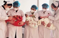 Năm Rồng bàn chuyện sinh con ở châu Á