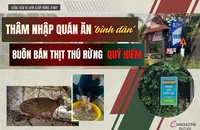 Điều tra: Bên trong các quán ăn ‘bình dân’ ở Đồng Nai rao bán 'thịt rừng 100%'