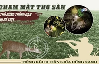 Điều tra: Chạm mặt cánh thợ săn, thú rừng Vườn quốc gia Cát Tiên trúng đạn và bị xẻ thịt 