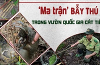 Điều tra: Mục sở thị 'ma trận' bẫy thú ở Vườn quốc gia Cát Tiên 