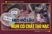 Ớn lạnh lò mổ heo '4 không' - Bài 2: Lo thịt nhiễm khuẩn, nghi có chất tạo nạc 