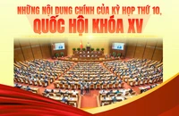 Infographic: Những nội dung quan trọng tại kỳ họp cuối cùng Quốc hội khoá XV