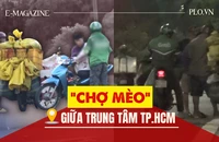 Thâm nhập đường dây 'mèo tặc' - Bài 2: Theo dấu những phi vụ mua - bán khó tin 